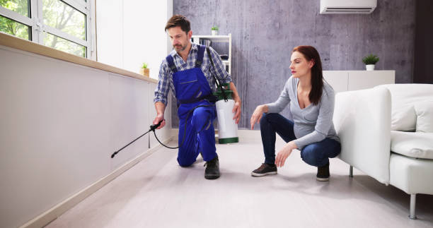 Emergency Pest Control Services in Marble Falls, TX